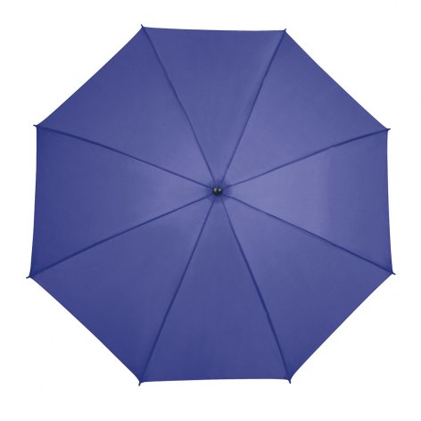 FOLDING BLUE UMBRELLA