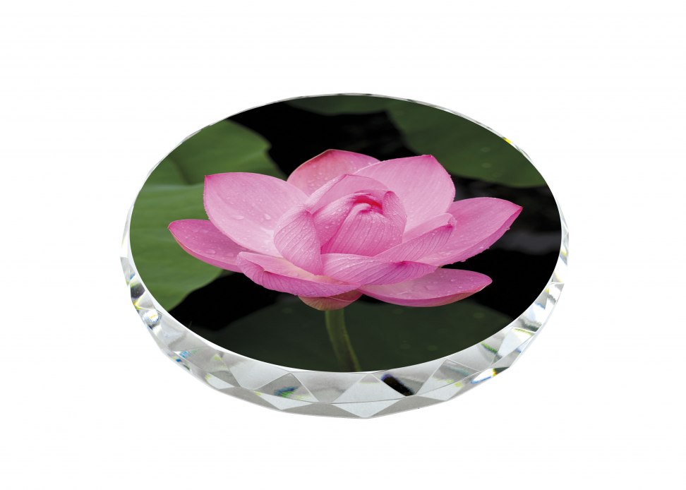 PAPER WEIGHT SHAPED FOR SUBLIMATION